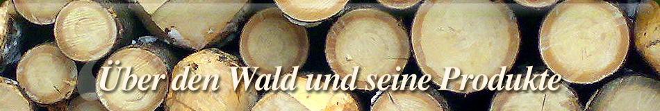 banner-index-4-ger.jpg