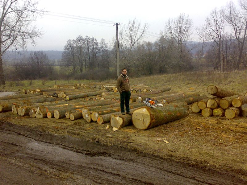 Industrial wood, pulpwood