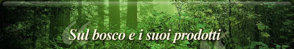 banner-index-1-ita.jpg