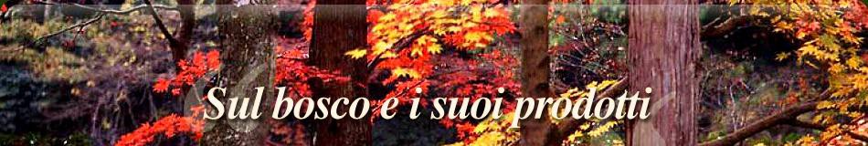 banner-index-3-ita.jpg