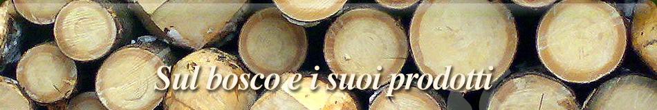 banner-index-4-ita.jpg