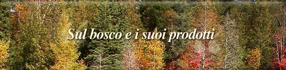 banner-index-5-ita.jpg