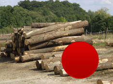 Listnaté tvrdé palivové drevo (buk, hrab, dub) voľnoložené v dĺžkach 2 – 4 m