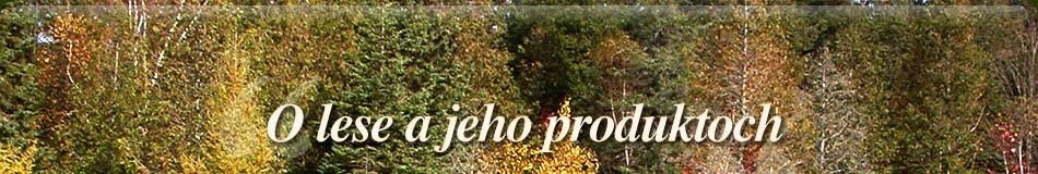 banner-index-5.jpg
